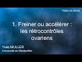 1. Freiner ou accélérer : les rétrocontrôles ovariens
