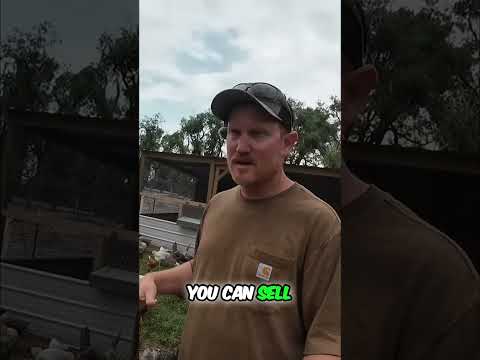 Check out the full video!