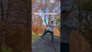 Yang Tai chi Long boxing