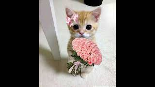 Beabadoobee  Glue Song  Sped Up 