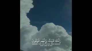 Maher Al Muaiqly  Surah Az Zumar