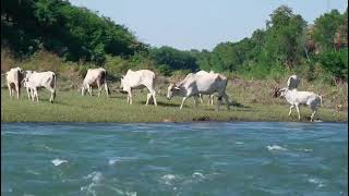 I Miss My Love County Myanmar 😭😭😭