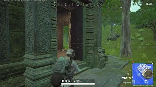 #175 (S70) Silenced Vector Chicken Dinner