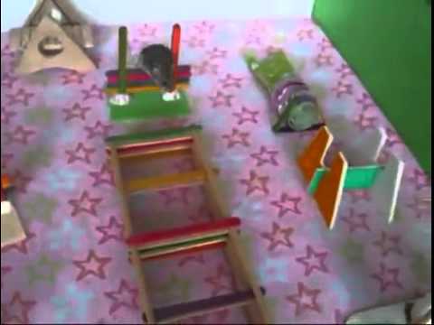 video phone beyonce mp3 Obstacle course for the hamster