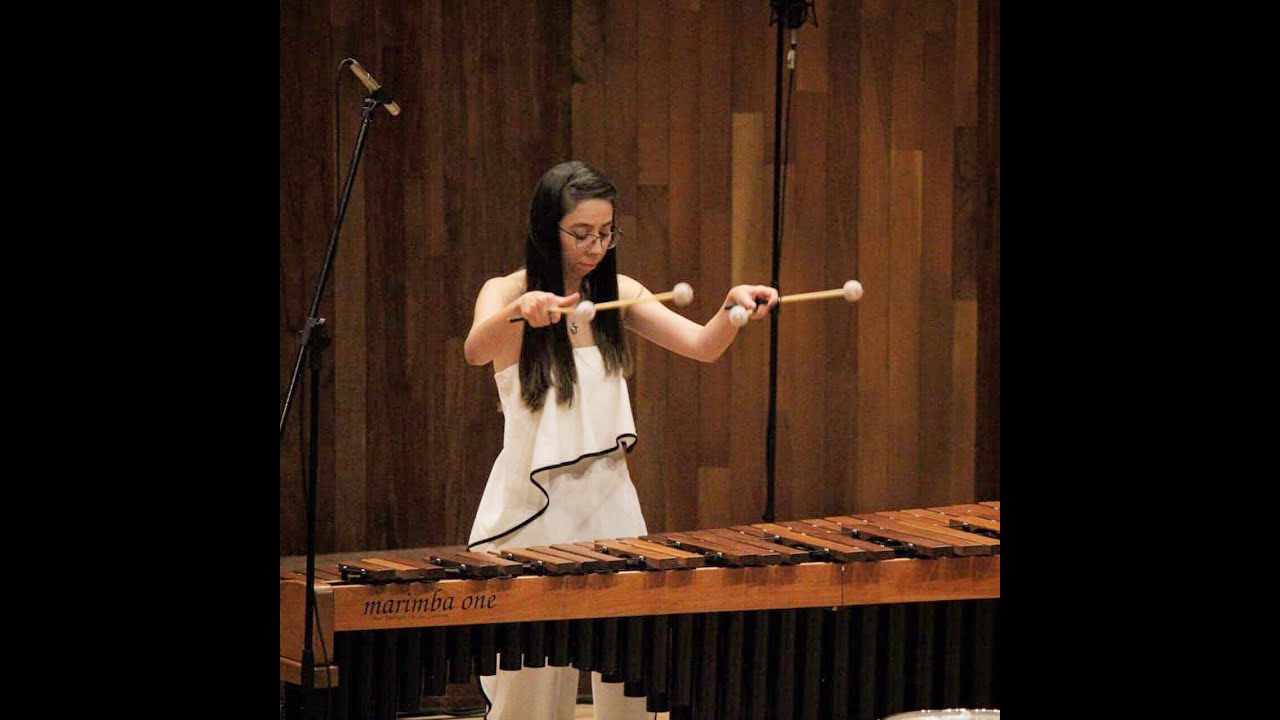 Concerto for marimba and strings orchestra (piano version) 1st mov