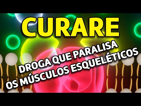 Vídeo: Onde estão localizados os curare?