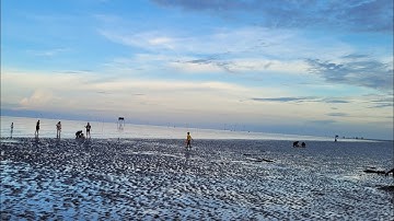 Trải nghiệm bắt nghêu trên bãi biển