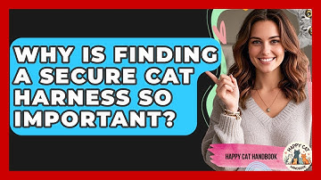 Why Is Finding A Secure Cat Harness So Important? - Happy Cat Handbook