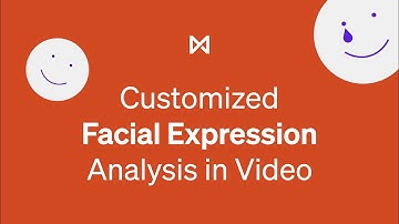 Customized Facial Expression Analysis in Video