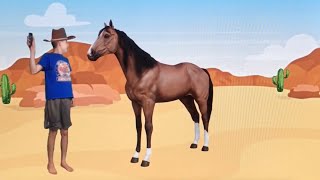 The Horse’s Hair Problem