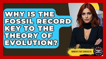 Why Is The Fossil Record Key To The Theory Of Evolution? - Moments That Shocked Us