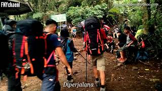 Story wa Fiersa basyari. Puisi gunung