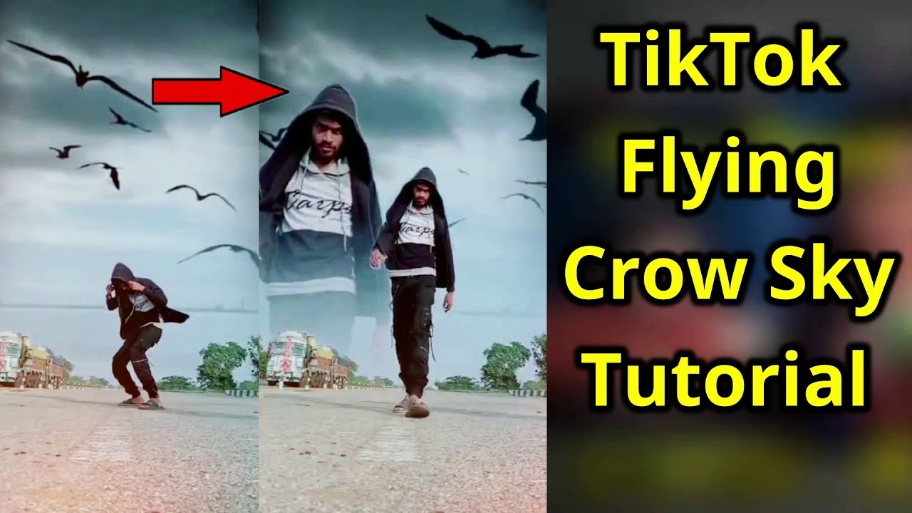 Tiktok Crow Flying in Sky Tutorial Sky Changing Birds Vfx Editing