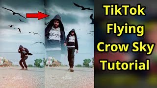 Tiktok Crow Flying In Sky Tutorial  Sky Changing Birds Vfx Editing  Tiktok New Trend