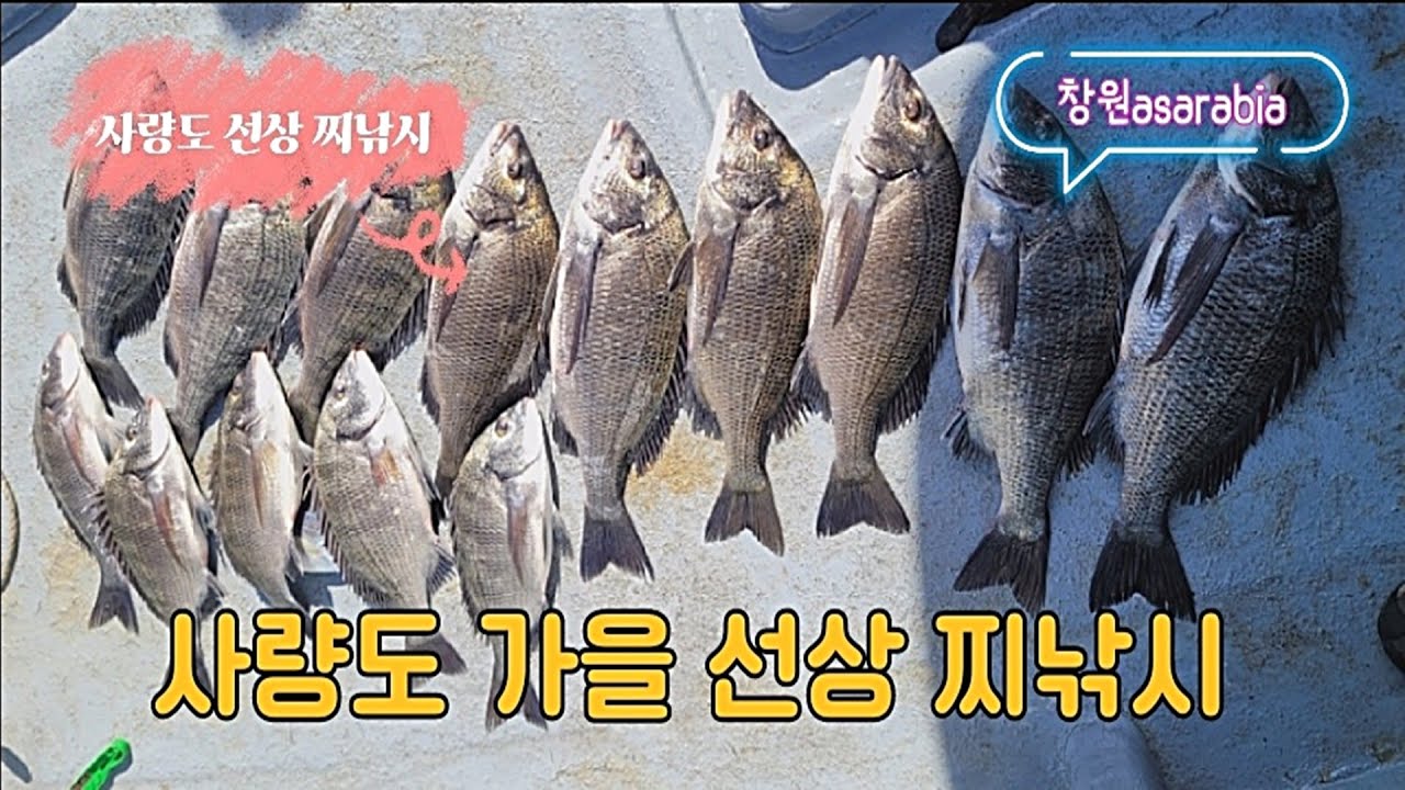 사량도 가을 선상 찌낚시  #감성돔 #막대찌 #사량도 #가을감성돔