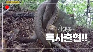 2TV 생생정보[대한민국 보물찾기] 2017년 8월 -고천거사