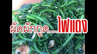 สูตร ผัดผักกูดไฟแดง I Stir fern