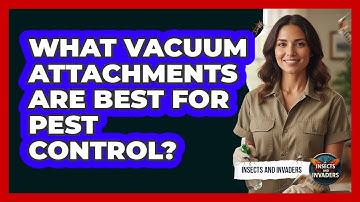 What Vacuum Attachments Are Best For Pest Control? - Insects and Invaders