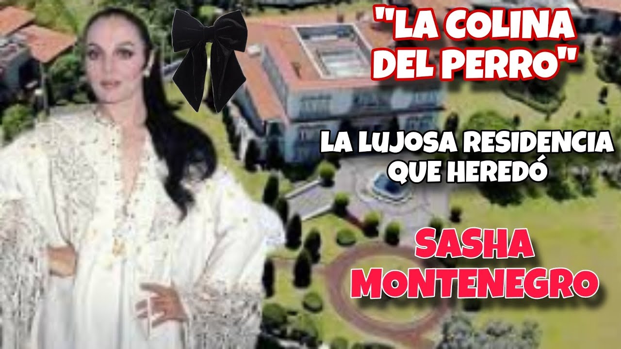 La Mansión que Heredó Sasha Montenegro de Lopez Portillo | CONOCIDA COMO LA COLINA DEL PERRO