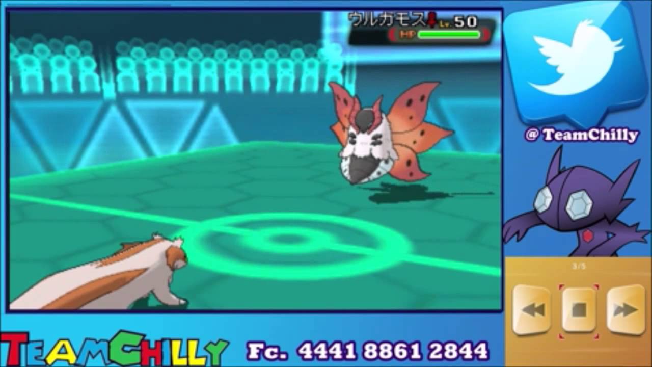 Linoone Sweep WIFI BATTLE EXTREME SPEED  BELLY DRUM SET UP