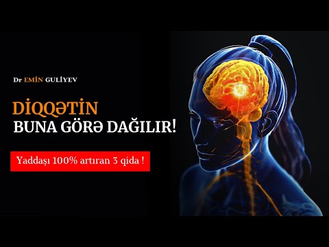 Beyin gücünü 10 DƏFƏ ARTIRAN - 3 SUPER QİDA. DİQQƏTİN YAYINMAYACAQ!