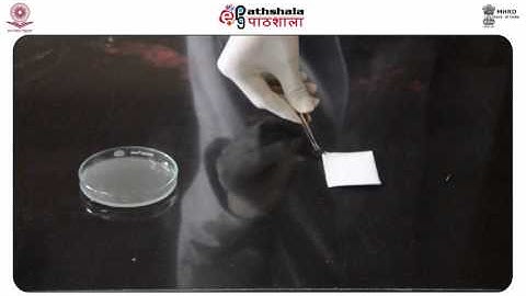 Silver Nitrate Method for Detection of Fingerprints