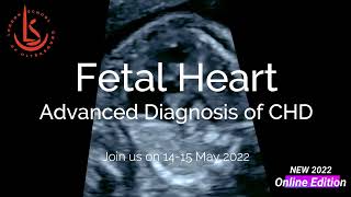 Fetal Heart: Advanced Diagnosis of CHD. Online Course & Masterclass 14-15 May 2022