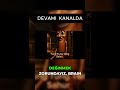 Bu yapay zeka içeriği beynini çürütecek #brainrot #shorts