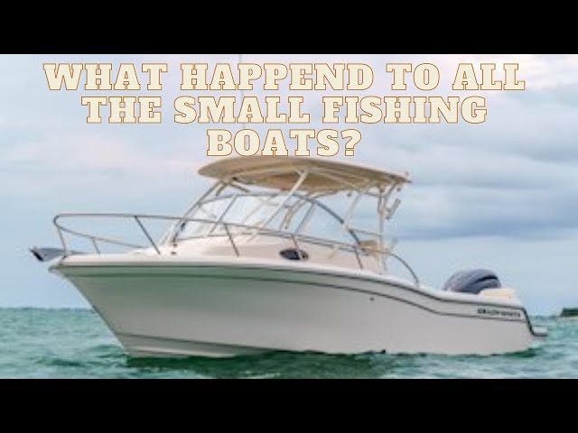 Small Fishing Boats at 2023 Florida Boat Shows - What Does $37k to $170k  Get You? 