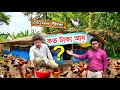 বর্তমানে দেশি মুরগির ফার্ম করে কত টাকা আয়? Desi Murgi Farming | Desi Poultry farming | Local murgi