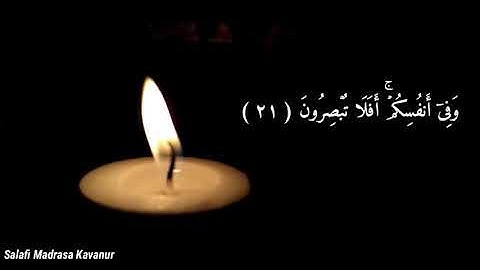 سورة الذاريات (آية ٢١ - ٣٠)