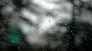 Sen Yağmuru Seversin