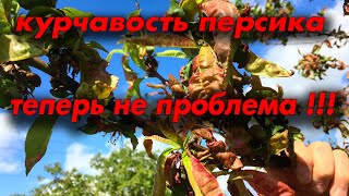 Как победить курчавость персика !!!