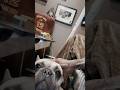 DOGG GONE Ep5: Home Sweet Home