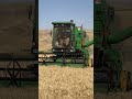 دروکردن گندم با کمباین ۱۰۵۵ ساخت ایران Farming Jandersonnascimento 
