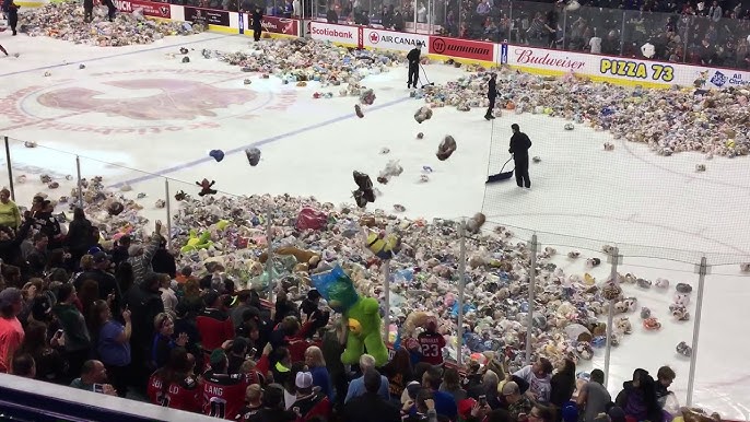 Calgary Hitmen keep annual Teddy Bear Toss going with physically-distanced  donation 'lane