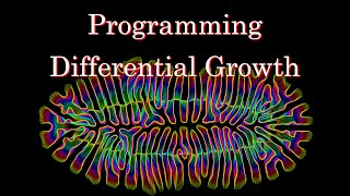 Programming Differential Growth