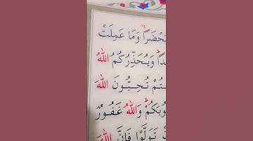 سورة ال عمران الأية 29 إلى 30 القارئ سعد الغامدي