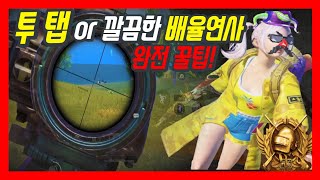 모배 