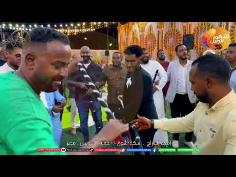 حفل السويس مصر هدي بي ياشوق هدي امجد السراج اكسبلور الاسكندرية اسوان اغاني 2025 ترند السودان