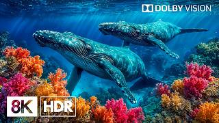 Tranquil Deep Sea Creatures in 8K HDR | Dolby Vision™