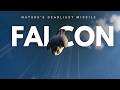 Nature’s Deadliest Missile Peregrine Falcon