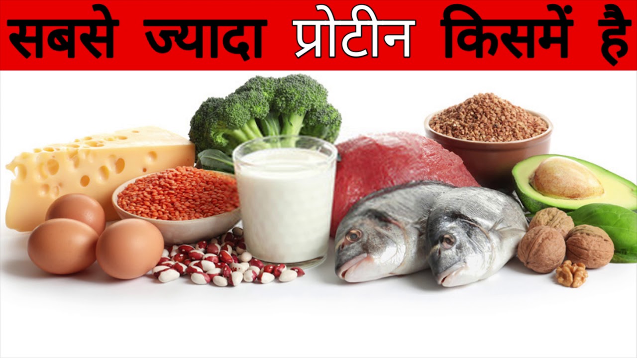 Jyada protein kisme hai YouTube
