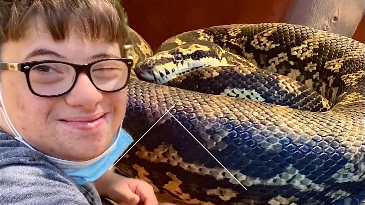 فلوق رقم 2 - من حديقة الحيوانات | #VLOG2