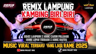 REMIX LAMPUNG TERBARU HUJAN LEBAT LEBAT TAIK KAMBING BIRI BIRI❗REMIX LAMPUNG VIRAL 2025