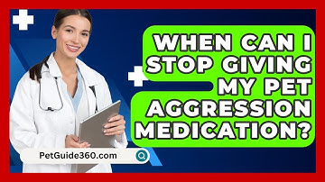When Can I Stop Giving My Pet Aggression Medication? - PetGuide360.com