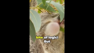 Discrete Math Decoded: Predicate Logic