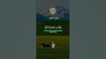 #القران سورة النور #اكسبلور #ارح قلبك وسمعك بذكر الله صلوا على رسول الله