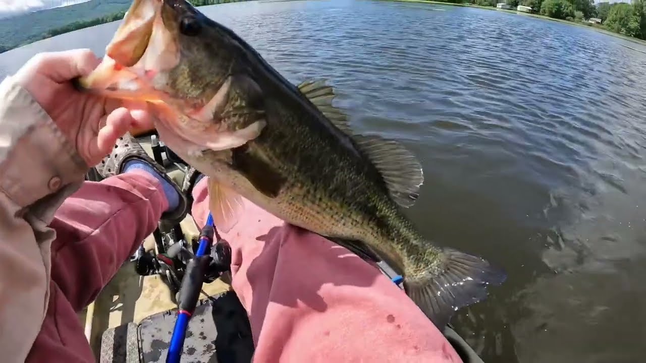 Best late spring bass fishing techniques for Lake Guntersville!