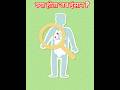 What If Humans Had Gills Instead of Lungs? #devafacthub